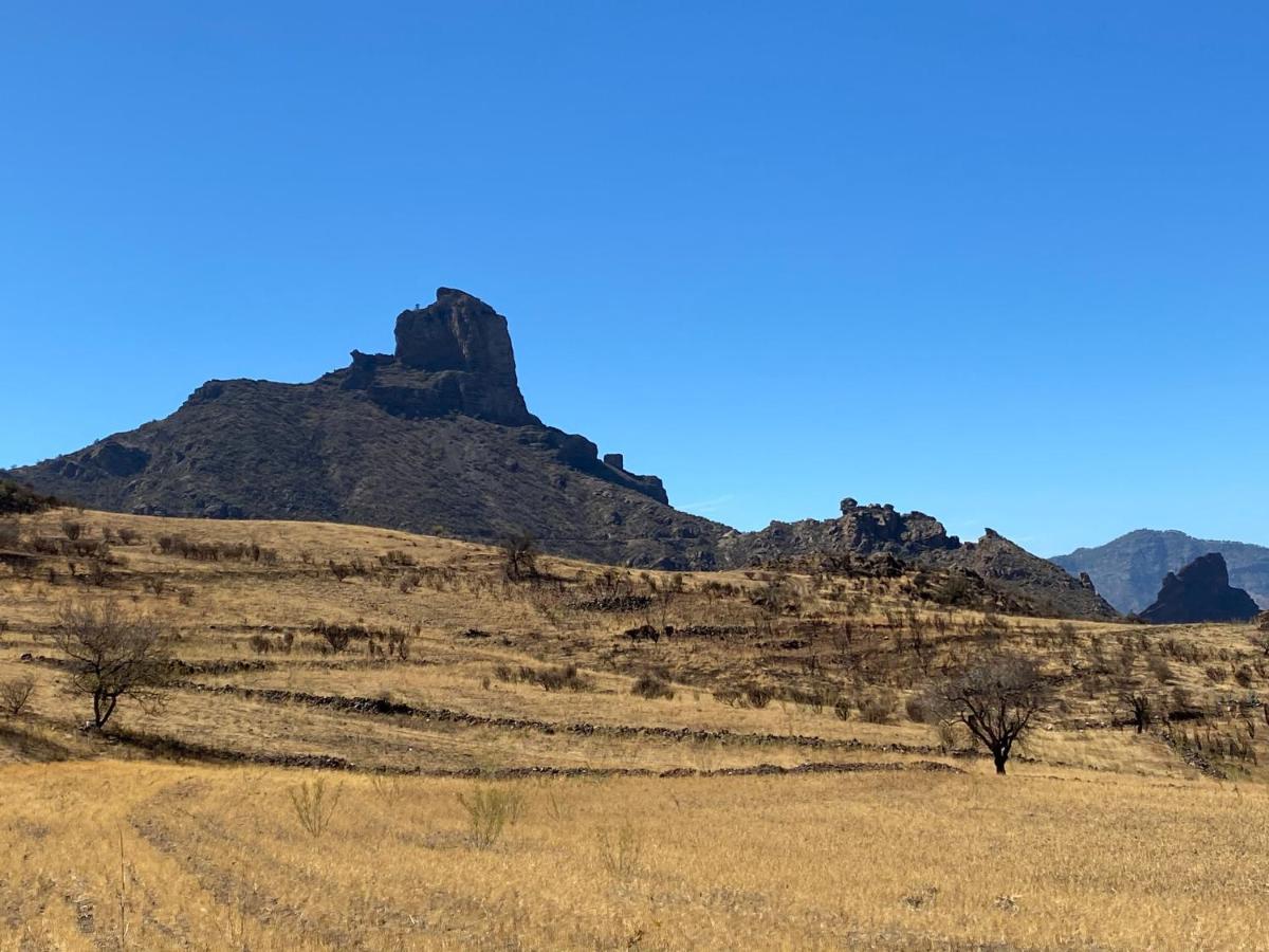 Vacacional La Tea The Best Location And The Best Views Техеда Екстериор снимка